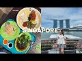 Singapore 2025 🇸🇬 13-hr layover DIY itinerary | marina bay, merlion, supertree grove, jewel ✈️✨