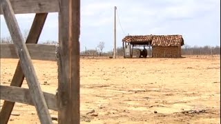 Série JR: maior seca da história devasta sertão de Pernambuco e prejudica até a caatinga