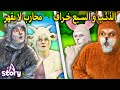 محارب لا يقهر + الذئب و السبع خراف | قصص اطفال عربية | A Story Arabic