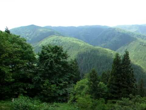 2010_06060021.AVI