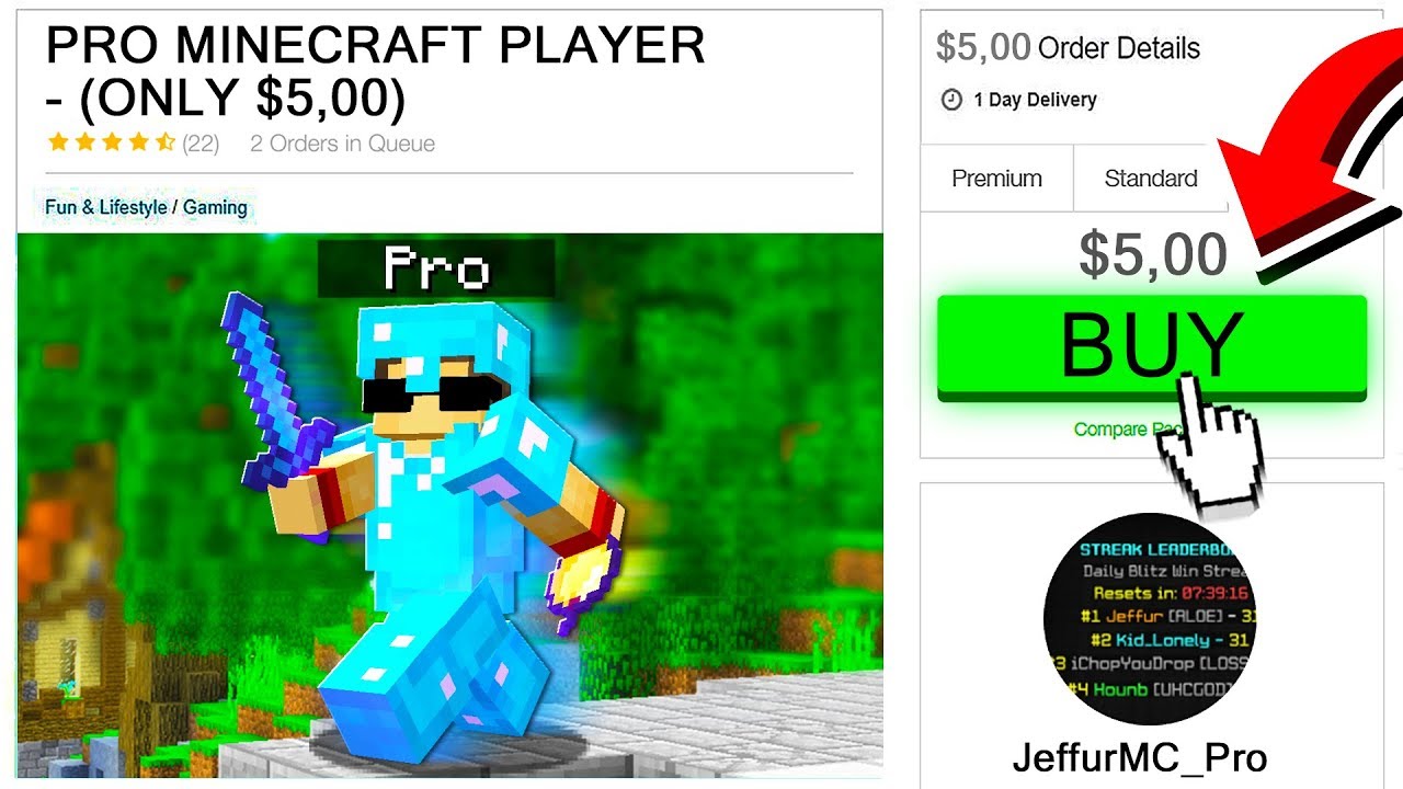 How To Hire A Professional Minecraft Player