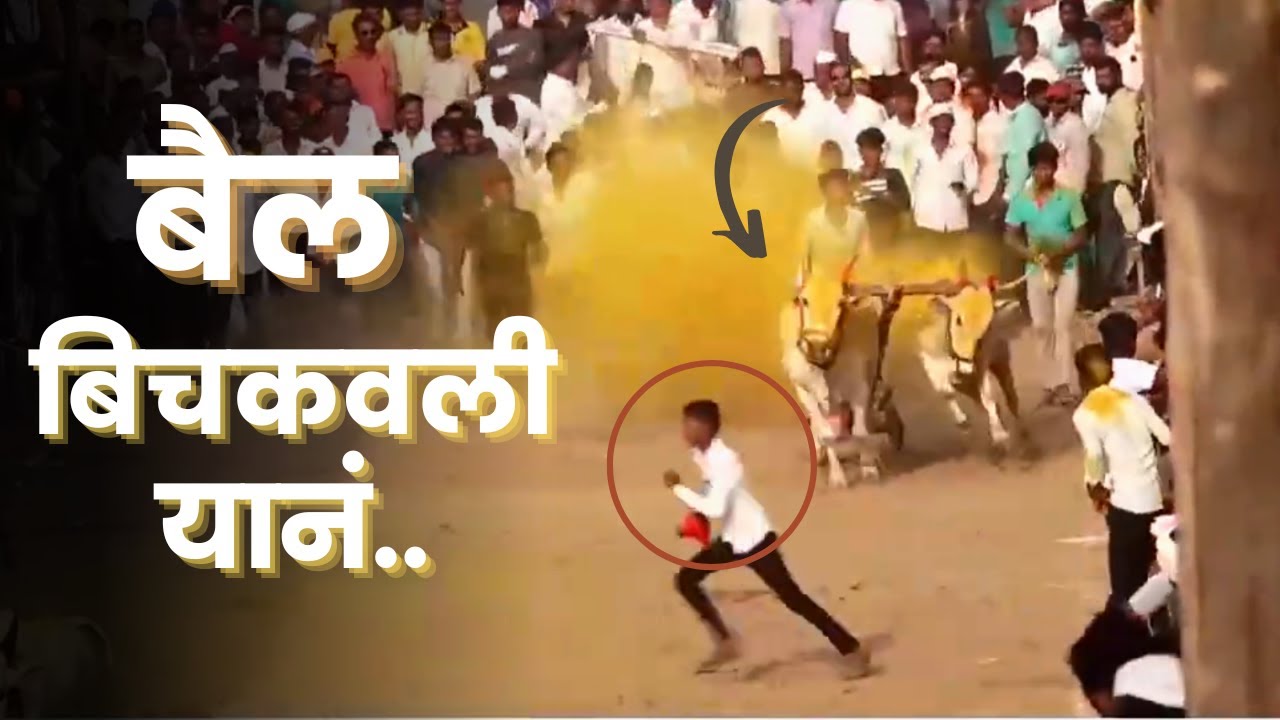     Bailgada Sharyat Video  Naad Bailgadyacha  Bull Race