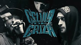 CELULA DE CRIZĂ - Cântece Pentru Tineret (Live Session)