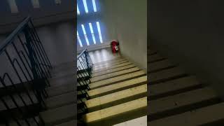 Şehir Seçimi: Sevimli Çocukların Günlük Hayatı Kaydıraktayken Nasıl Eğlenirler? Çok Eğlenceli