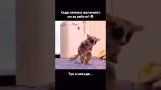 🤣 #смях #вицове #хумор #ЗабавниВидеа #картичкиипозитивноЦВете #Reels #Shorts