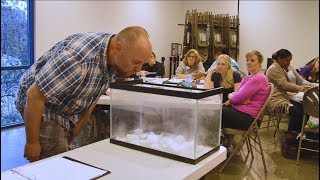 SMUD's frightfully educational Spooky Science workshop for teachers