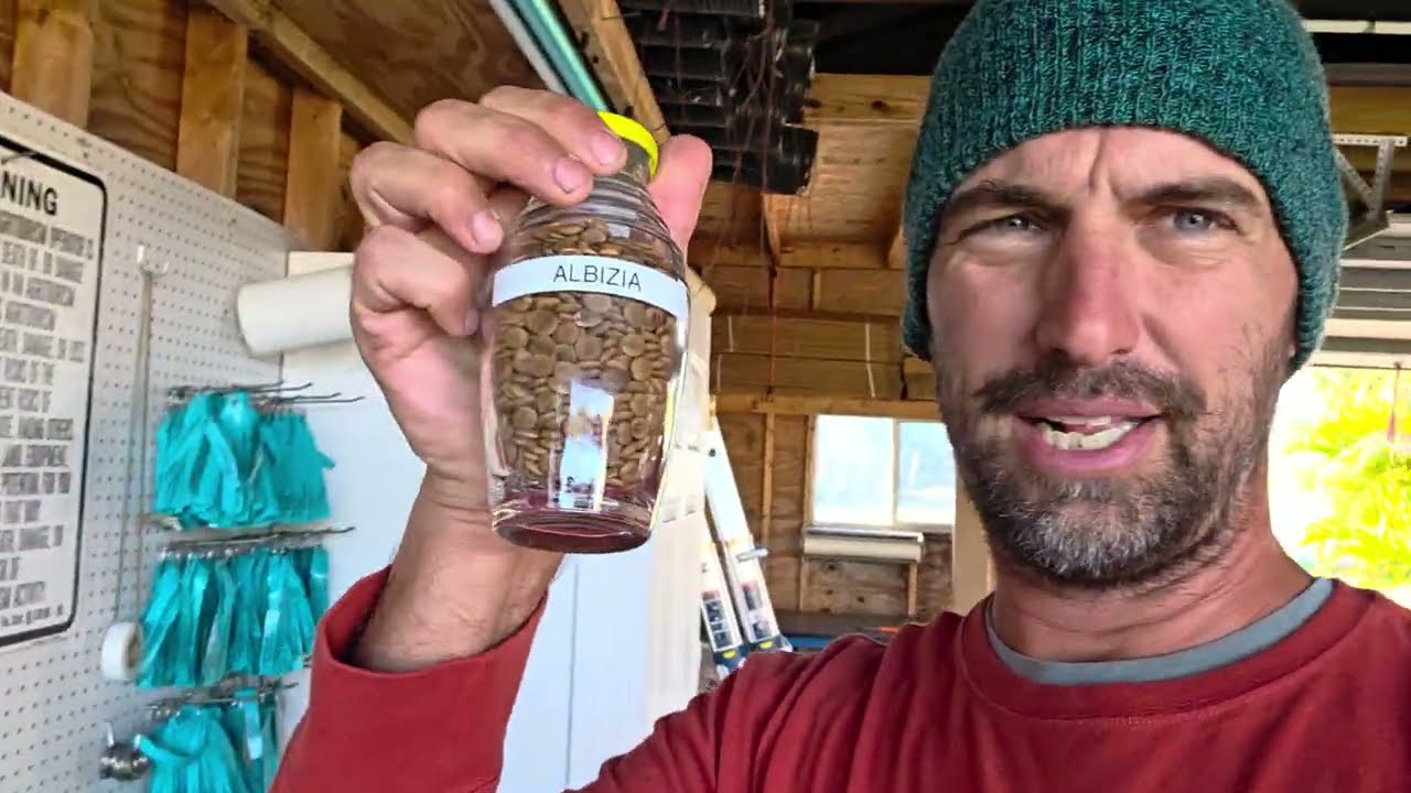 Стратегия сохранения семян (мои главные советы)