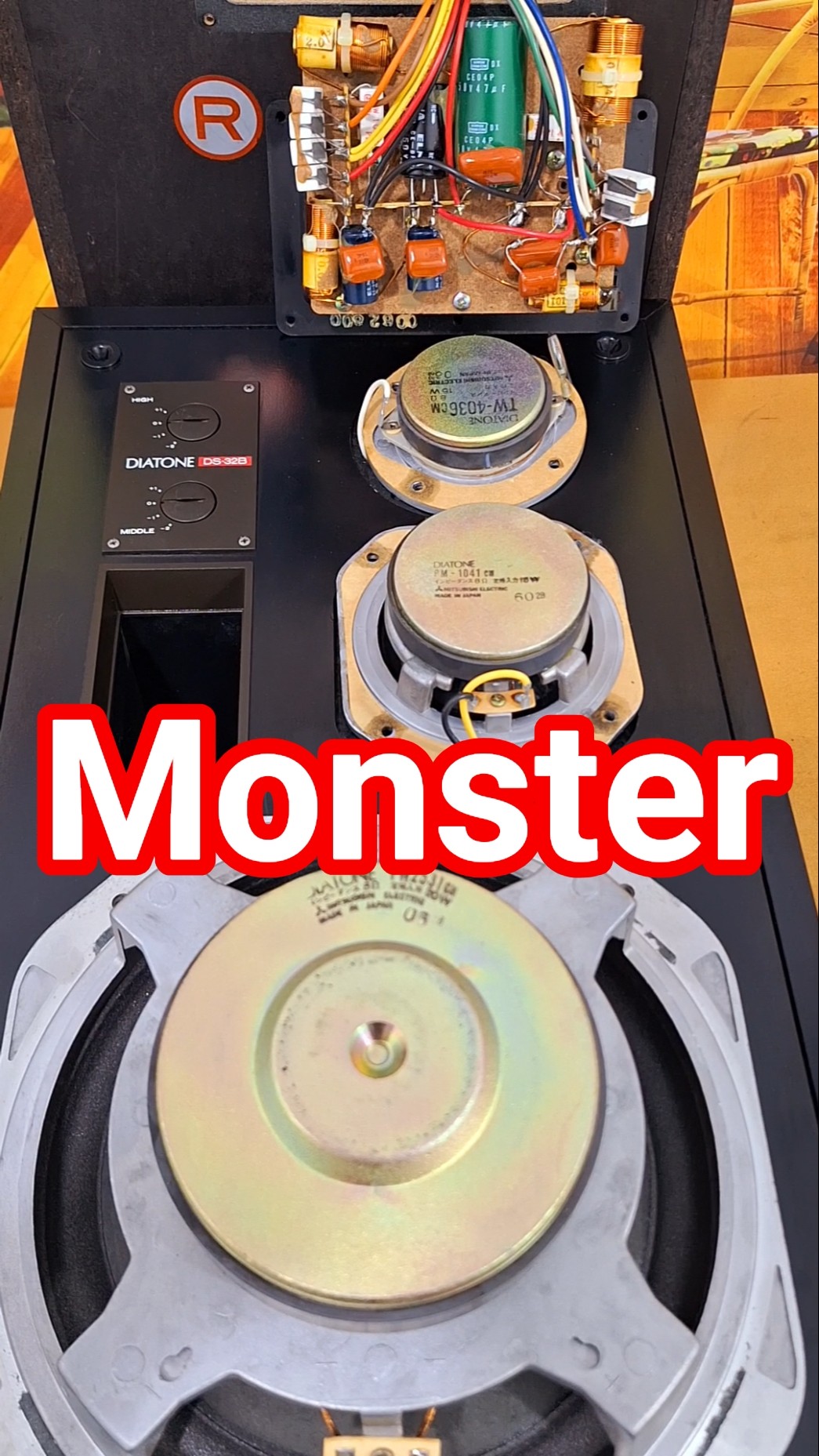 Diatone DS-32B made in Japan. This is not a normal speaker. The