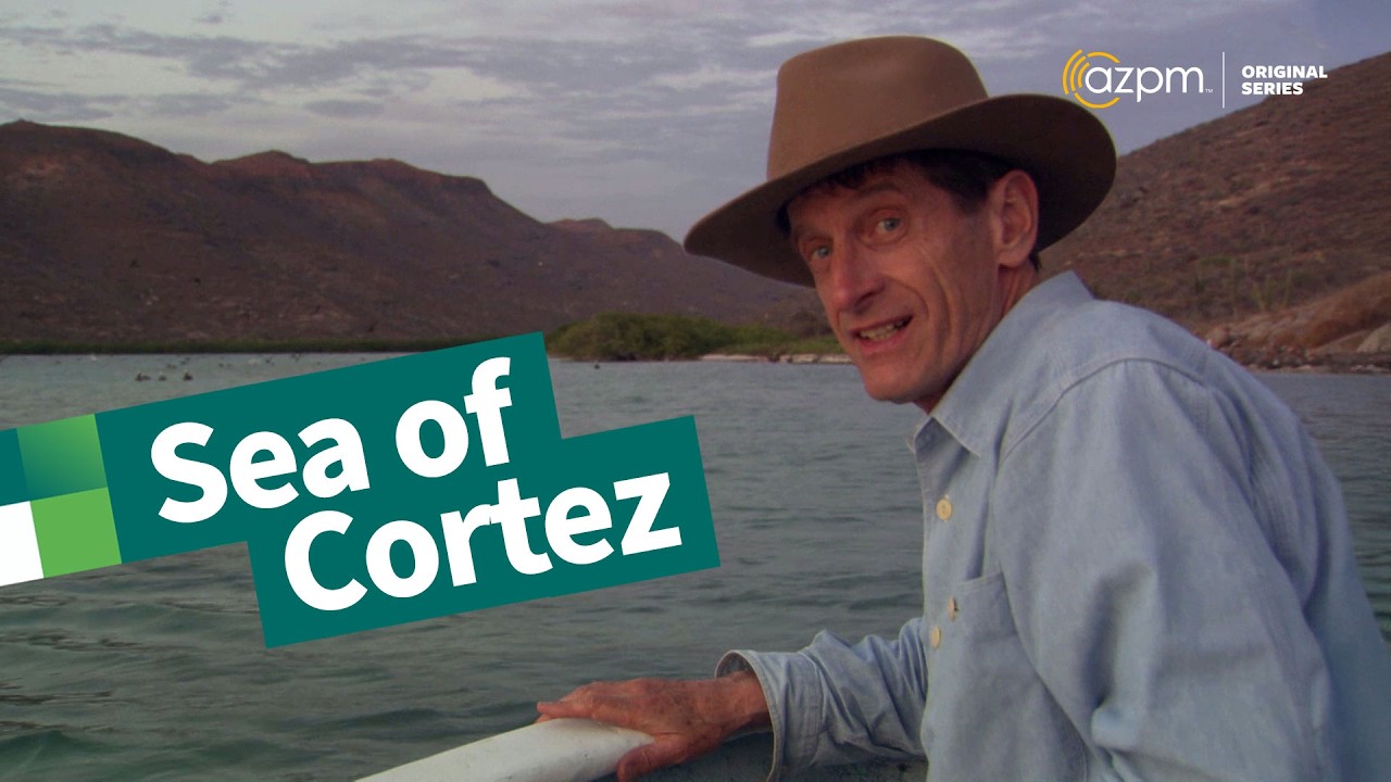 Sea of Cortez: Then and Now | The Desert Speaks