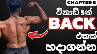 Download Lagu විනාඩි 5හේ Back Workout එක  MP3