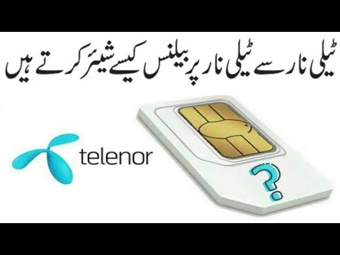 Telenor Share Service 2022