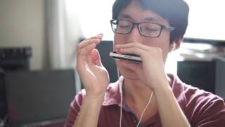 Irish Folk  Down By The Salley Gardens  Harmonica