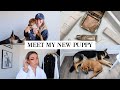 VLOG: MEET MY NEW PUPPY, GRWM, + SEPHORA VIB SALE HAUL | Katie Musser