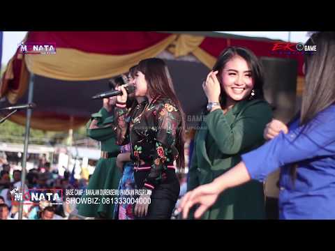 setan apa (Salah apa aku) vivi artika new kendedes auto goyang tiktok