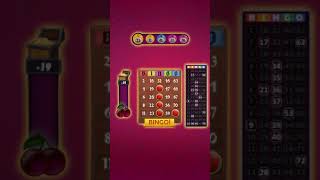 Bingo - Offline Board Game screenshot 5