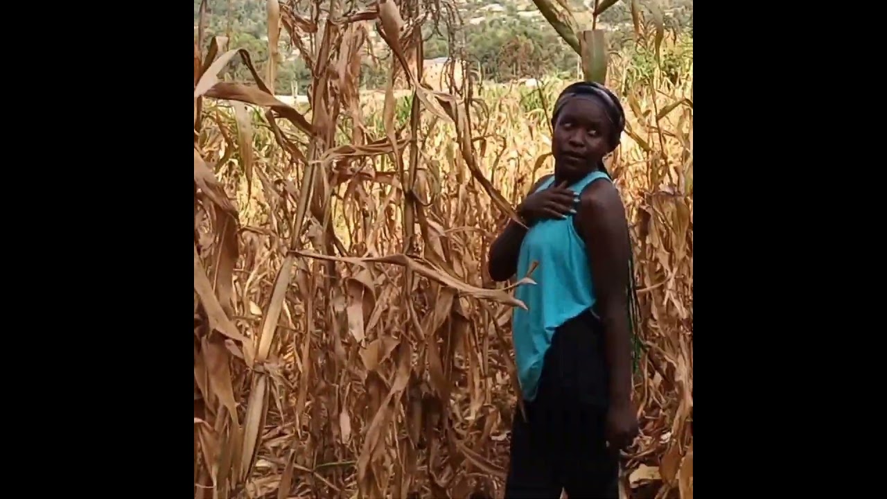 Getting creative with Plucked Maize, Canon Rebel T7