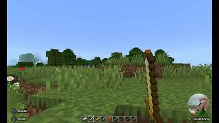 Playing minecraft in peafowl mode