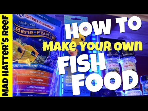 How To Make Your Own Fish Food