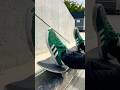 🏋️🏋️🏋️#skateboarding #skate #skateboard #skater #skatelife