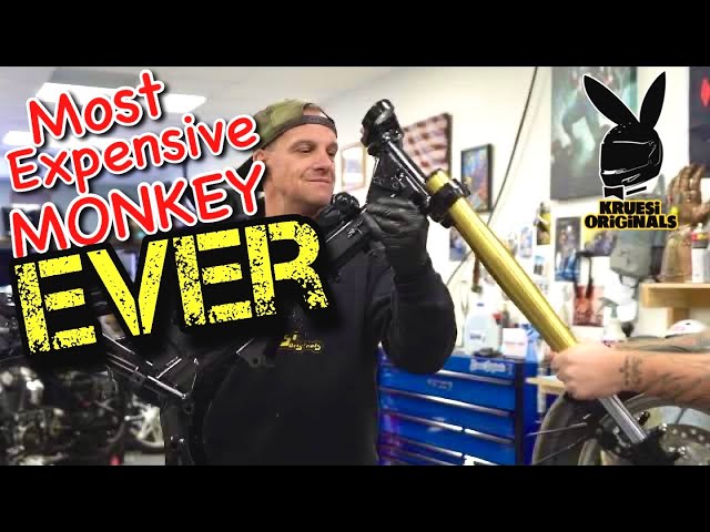 Building the worlds most expensive honda Monkey with kruesi