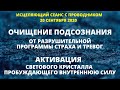 ОЧИЩЕНИЕ ПОДСОЗНАНИЯ ОТ РАЗРУШИТЕЛЬНОЙ ПРОГРАММЫ СТРАХА И ТРЕВОГ. АКТИВАЦИЯ ВНУТРЕННЕЙ СИЛЫ ДУХА.