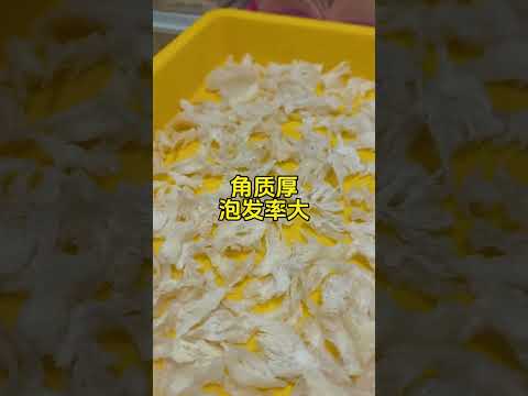 要燕角的那真的是会吃的人???? 精华都聚集在燕角上～营养丰富口感Q弹。 燕角是金丝燕筑巢时用来固定燕窝两端的部分，就好比金丝燕家中的“房梁”，燕窝整体是否牢固最主要就要看底座和燕角是否……
