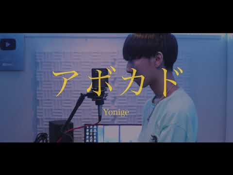 [cover] アボカド / PARED