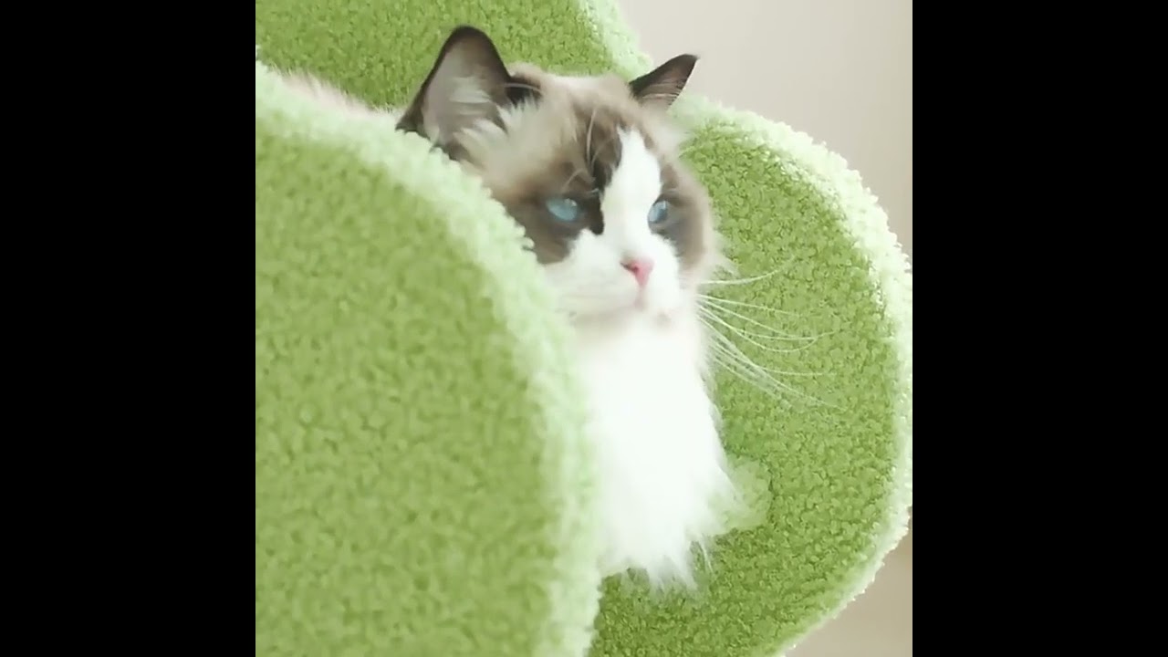 Blue Flower Cat Climbing Frame Sisal Column Cat Tree