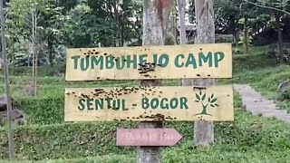 Tumbuhejo camping ground - Sentul