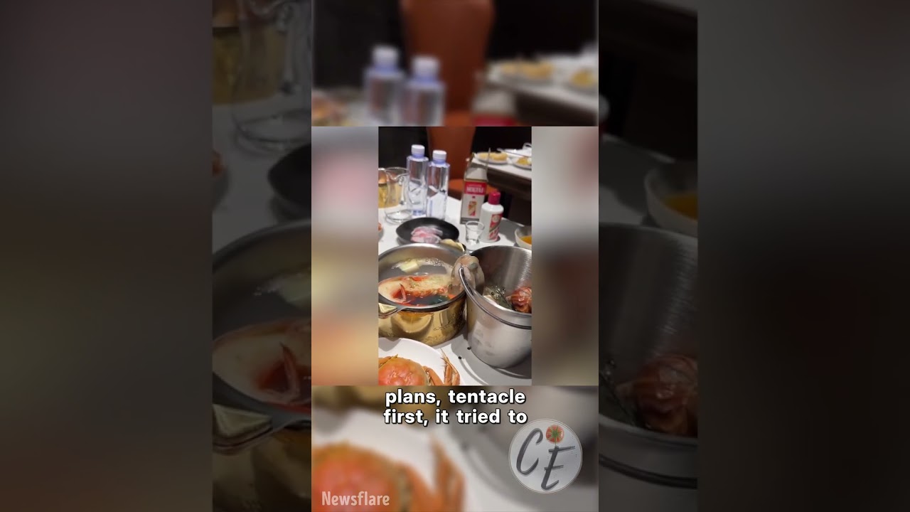 Octopus Makes a Daring Escape at Hot Pot! 🐙