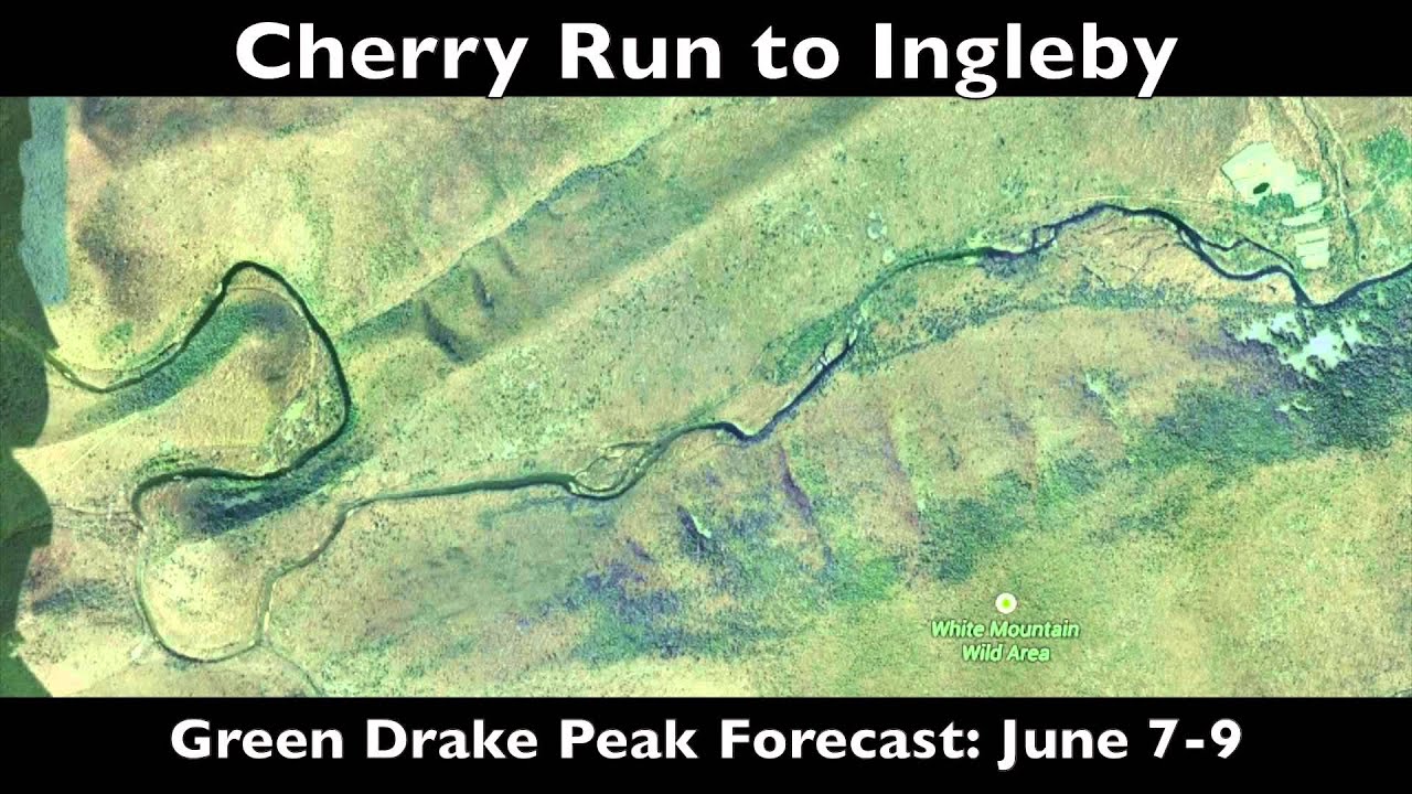 Penns Creek Green Drake Hatch Update June 6 2014 YouTube