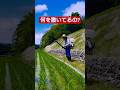 師匠のエンジン散布機　#asaba