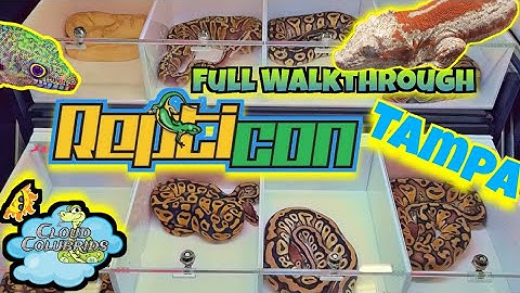 Repticon Tampa 2024, Huge Reptileshow  Walkthrough