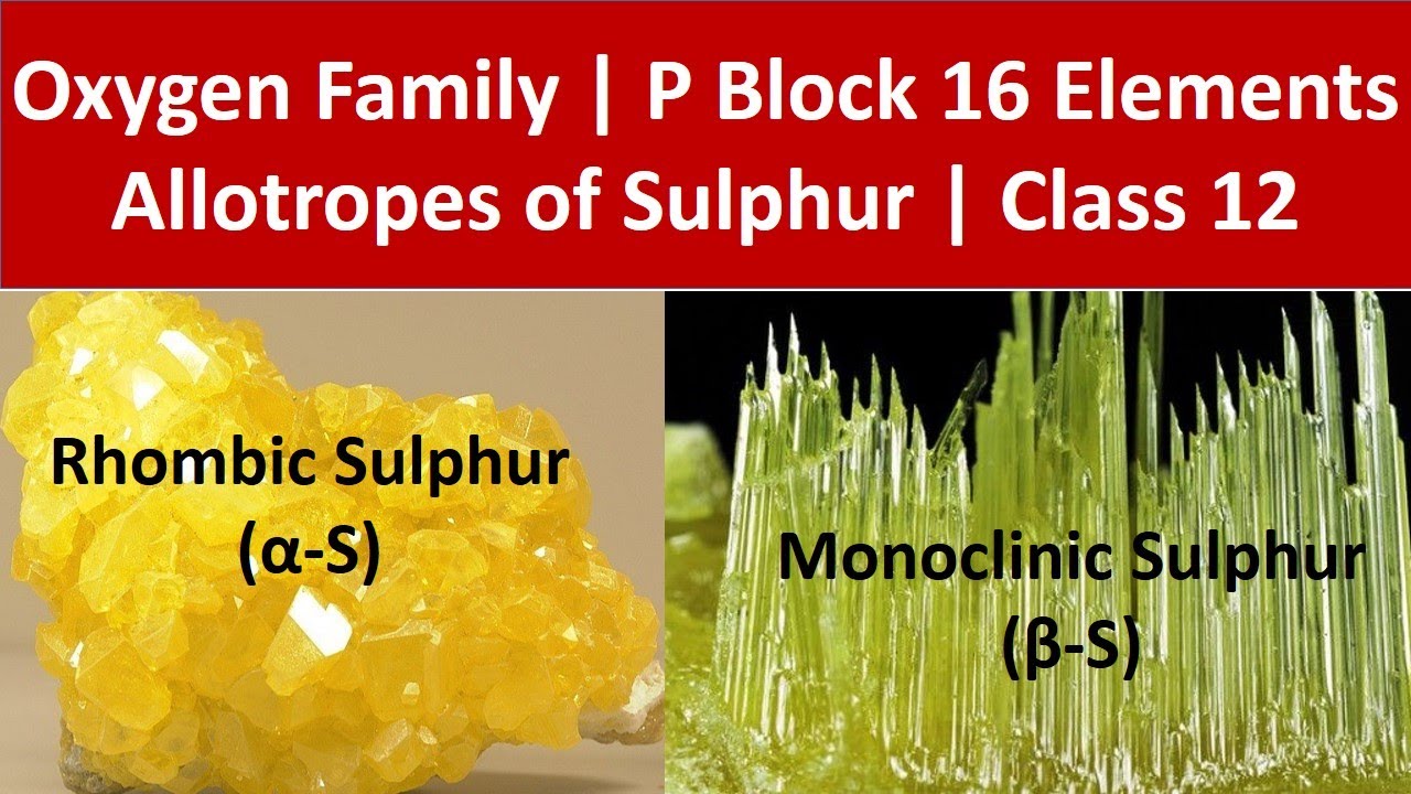 Allotropes of Sulphur | Oxygen Family | P block Elements | Class 12