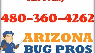 Cockroach Exterminators Apache Junction, AZ (480)360-4262
