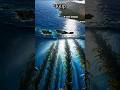 The Ocean Plant That Grows Faster Than Bamboo #shorts #viralshorts #shortsfeed