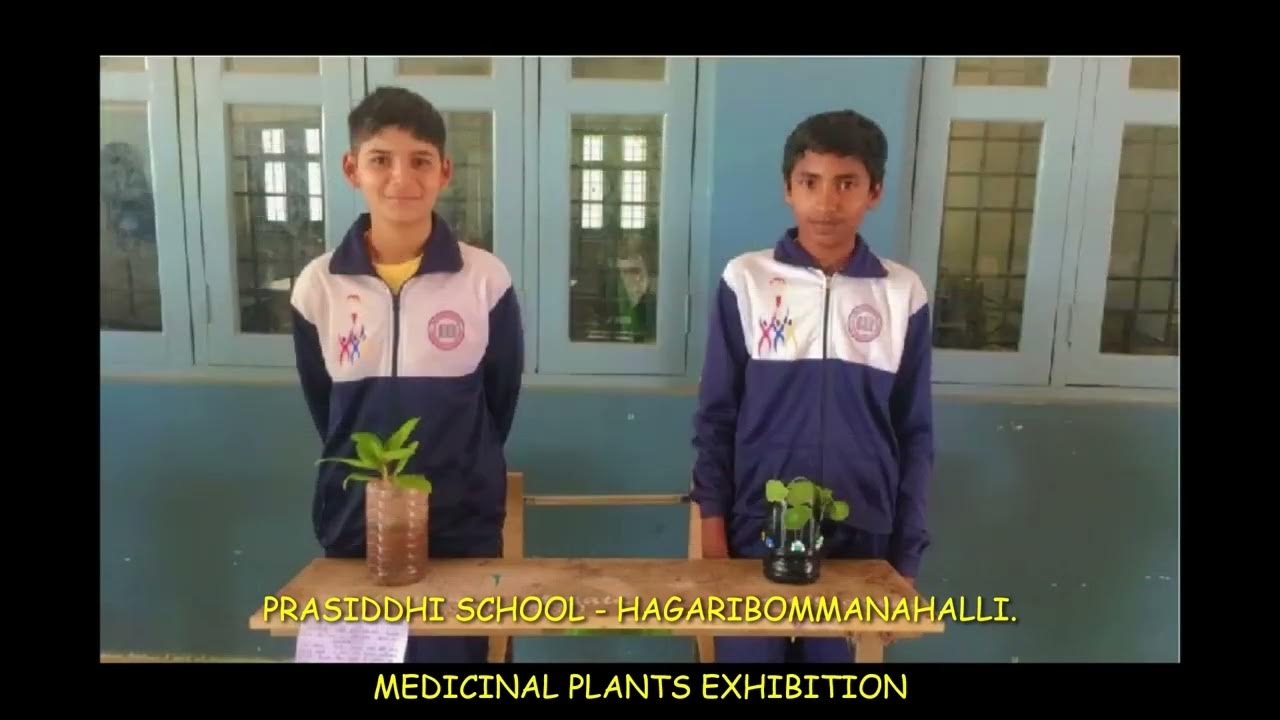 Prasiddhi School Hagaribommanahalli Medicinal Plants Exhibition V T