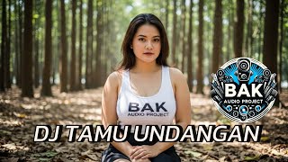 Download Lagu DJ TAMU UNDANGAN BA'AUDIO PROJECT MP3