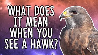 What Does It Mean When You See a Hawk?