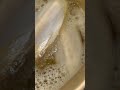 これは何でしょう！？！？！？