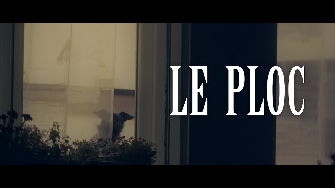 Toutes les vidéos