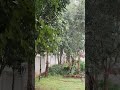 அடுத்து என்ன பண்றது தெரியல!?! #sad #nature #successmind #stressbuster #motivation #thoughts