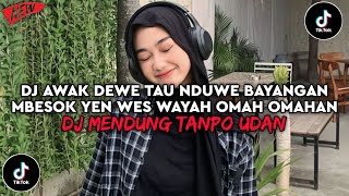 DJ AWAK DEWE TAU NDUWE BAYANGAN DJ MENDUNG TANPO UDAN SLOW BASS TERBARU 2025 YG KALIAN CARI