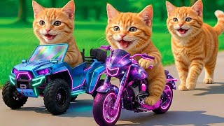 Kittens Drive Future Motorbikes \u0026 Cars 🚓 on a Revenge Mission to Rescue Mama Cat from a Bully💥🐱