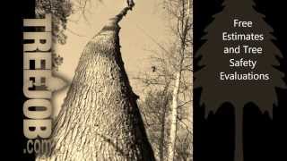 Johns Creek Tree Service | Tree Removal Johns Creek | Tree Service in Johns Creek
