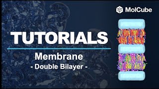 03. Membrane Builder - Membrane Double Bilayer