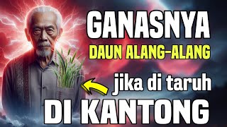 SILAHKAN TES ❗️keajaiban  meletakan daun ilalang di dalam kantong dalam dunia spiritual...