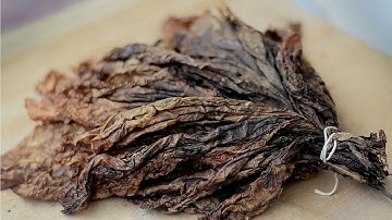How To Make Cavendish Tobacco At Home