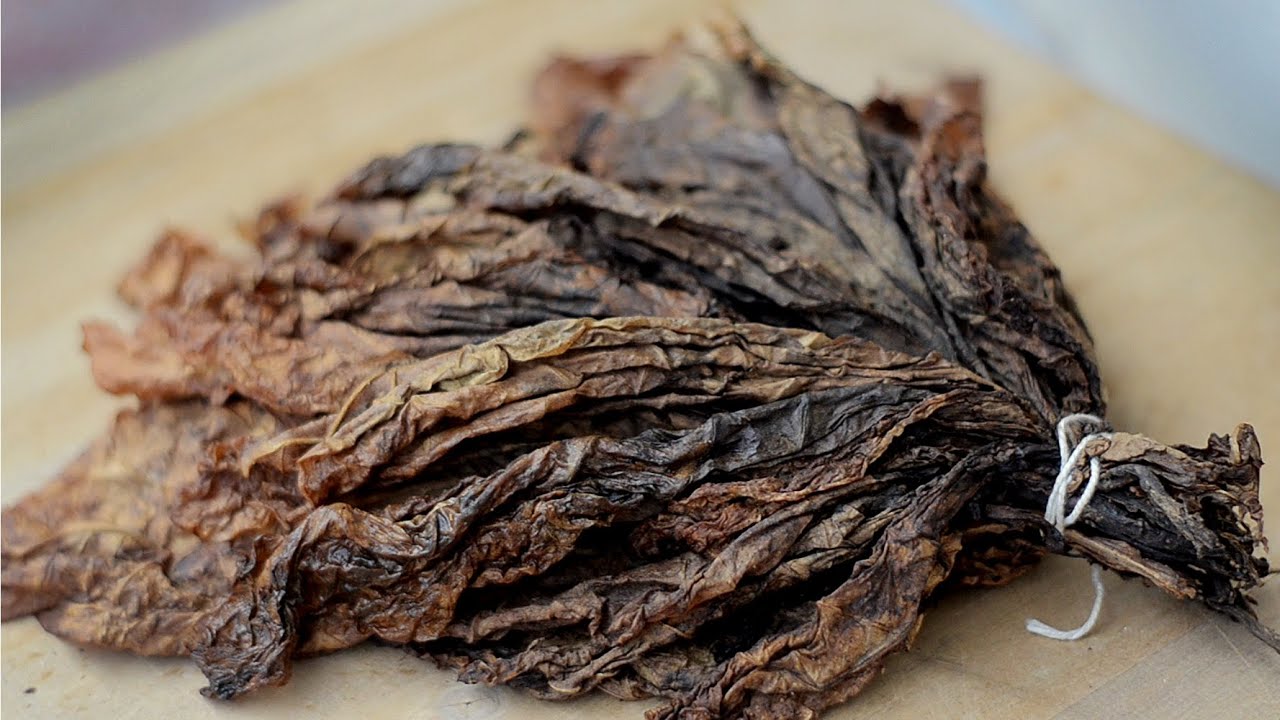 How To Make Cavendish Tobacco At Home