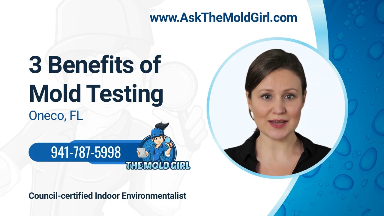 3 Benefits of Mold Testing in Oneco, Florida